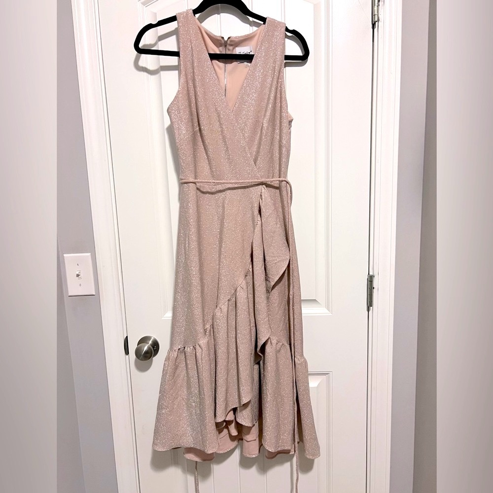 NWOT J Taylor blush pink fit and flare dress